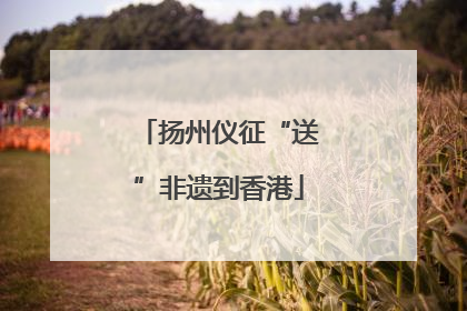 扬州仪征“送”非遗到香港