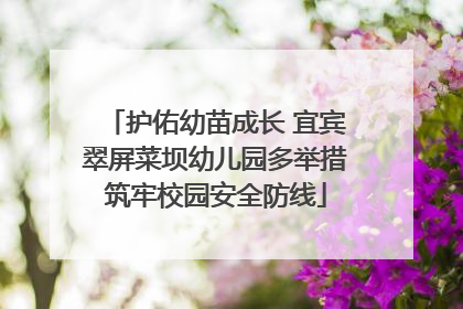 护佑幼苗成长 宜宾翠屏菜坝幼儿园多举措筑牢校园安全防线