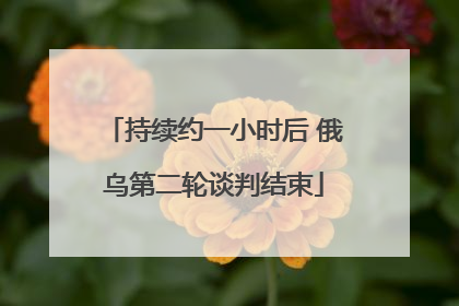 持续约一小时后 俄乌第二轮谈判结束