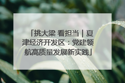 挑大梁 看担当｜夏津经济开发区：党建领航高质量发展新实践