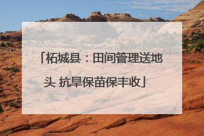 柘城县：田间管理送地头 抗旱保苗保丰收
