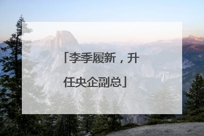 李季履新，升任央企副总