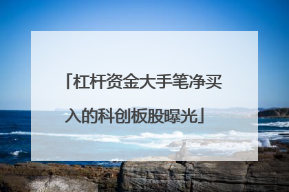 杠杆资金大手笔净买入的科创板股曝光