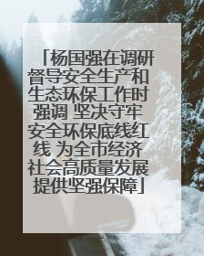 杨国强在调研督导安全生产和生态环保工作时强调 坚决守牢安全环保底线红线 为全市经济社会高质量发展提供坚强保障