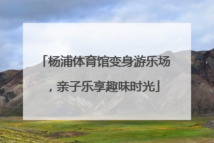 杨浦体育馆变身游乐场，亲子乐享趣味时光
