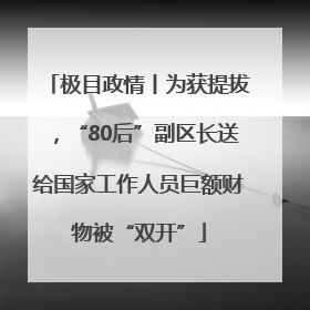 极目政情丨为获提拔，“80后”副区长送给国家工作人员巨额财物被“双开”