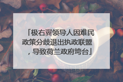 极右翼领导人因难民政策分歧退出执政联盟，导致荷兰政府垮台