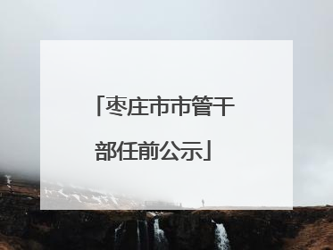 枣庄市市管干部任前公示