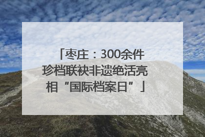 枣庄：300余件珍档联袂非遗绝活亮相“国际档案日”
