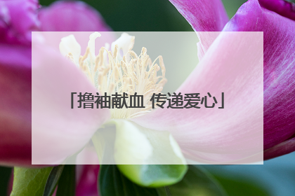 撸袖献血 传递爱心