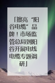 擦亮“阳谷电缆”品牌！市场监管总局到阳谷开展电线电缆专题调研