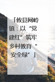 攸县网岭镇：以“党建红”筑牢乡村教育“安全绿”