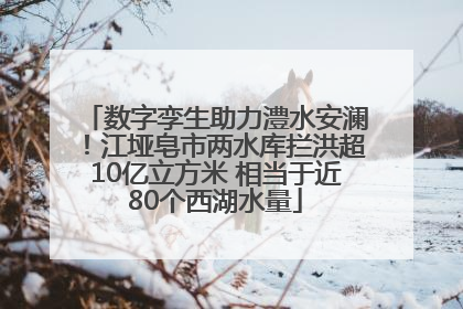 数字孪生助力澧水安澜！江垭皂市两水库拦洪超10亿立方米 相当于近80个西湖水量