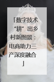 数字技术“耕”出乡村新图景：电商助力三产深度融合