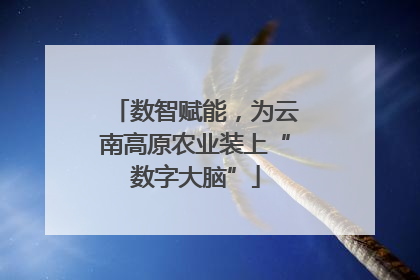 数智赋能，为云南高原农业装上“数字大脑”