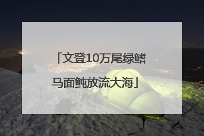 文登10万尾绿鳍马面鲀放流大海