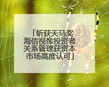 斩获天马奖 海信视像投资者关系管理获资本市场高度认可