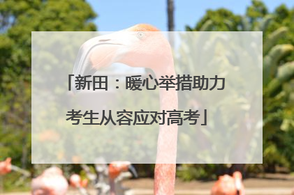 新田：暖心举措助力考生从容应对高考