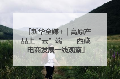 新华全媒+｜高原产品上“云”端——西藏电商发展一线观察