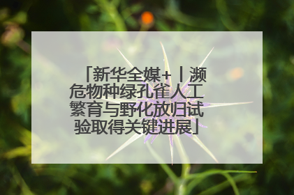 新华全媒+丨濒危物种绿孔雀人工繁育与野化放归试验取得关键进展