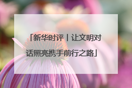 新华时评丨让文明对话照亮携手前行之路