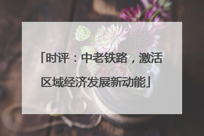 时评：中老铁路，激活区域经济发展新动能