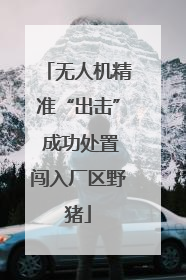 无人机精准“出击” 成功处置闯入厂区野猪