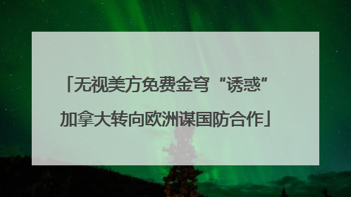 无视美方免费金穹“诱惑” 加拿大转向欧洲谋国防合作