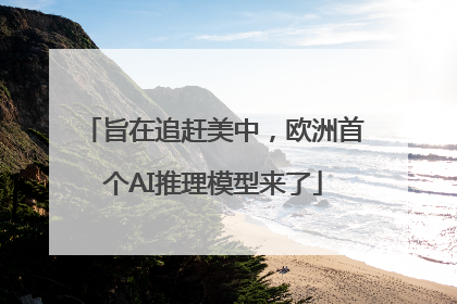 旨在追赶美中，欧洲首个AI推理模型来了