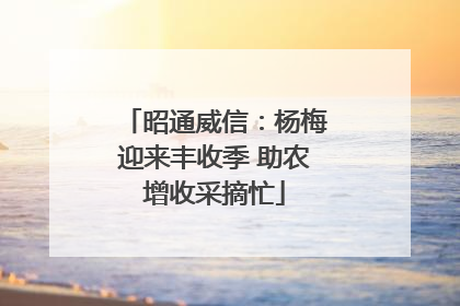 昭通威信：杨梅迎来丰收季 助农增收采摘忙