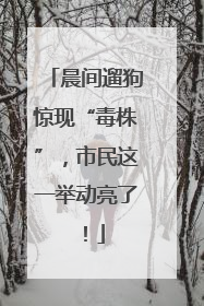 晨间遛狗惊现“毒株”，市民这一举动亮了！