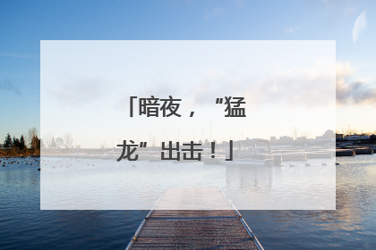 暗夜，“猛龙”出击！