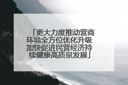 更大力度推动营商环境全方位优化升级加快促进民营经济持续健康高质量发展