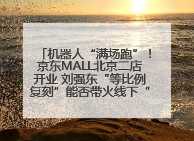 机器人“满场跑”！京东MALL北京二店开业 刘强东“等比例复刻”能否带火线下“618”？