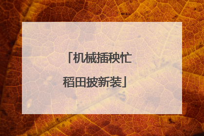 机械插秧忙 稻田披新装