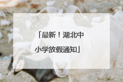 最新！湖北中小学放假通知