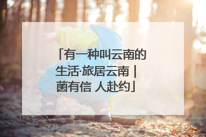 有一种叫云南的生活·旅居云南｜菌有信 人赴约