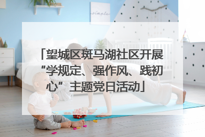 望城区斑马湖社区开展“学规定、强作风、践初心”主题党日活动