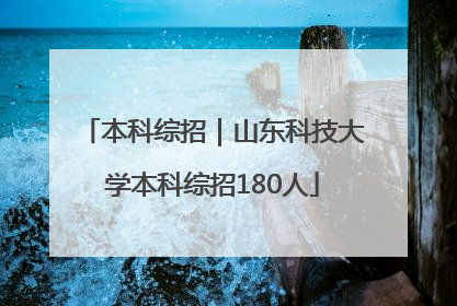 本科综招｜山东科技大学本科综招180人