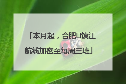 本月起，合肥⇋镇江航线加密至每周三班