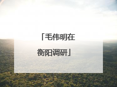 毛伟明在衡阳调研