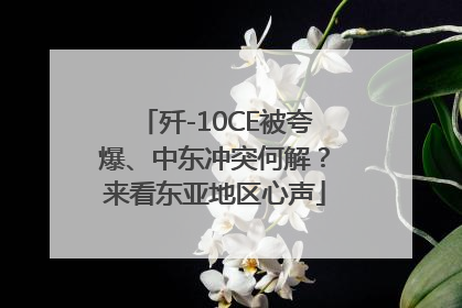 歼-10CE被夸爆、中东冲突何解？来看东亚地区心声