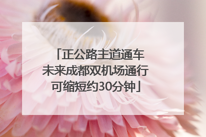 正公路主道通车 未来成都双机场通行可缩短约30分钟