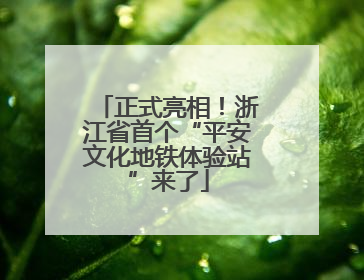 正式亮相！浙江省首个“平安文化地铁体验站”来了