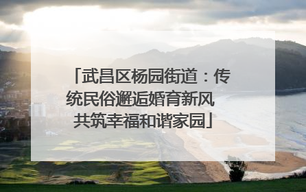 武昌区杨园街道：传统民俗邂逅婚育新风 共筑幸福和谐家园