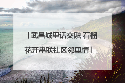 武昌城里话交融 石榴花开串联社区邻里情