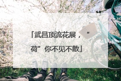 武昌顶流花展，“荷”你不见不散