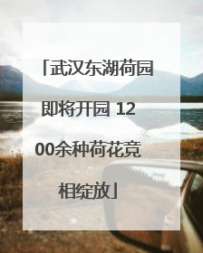 武汉东湖荷园即将开园 1200余种荷花竞相绽放