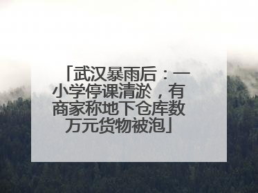 武汉暴雨后：一小学停课清淤，有商家称地下仓库数万元货物被泡