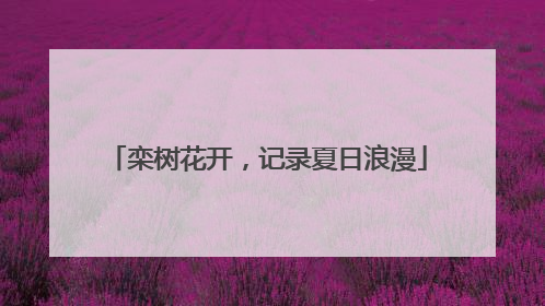 栾树花开，记录夏日浪漫